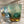 Load image into Gallery viewer, HADOU|Amber green