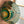 Load image into Gallery viewer, HADOU|Amber green