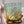 Load image into Gallery viewer, SAZANAMI|Amber Green